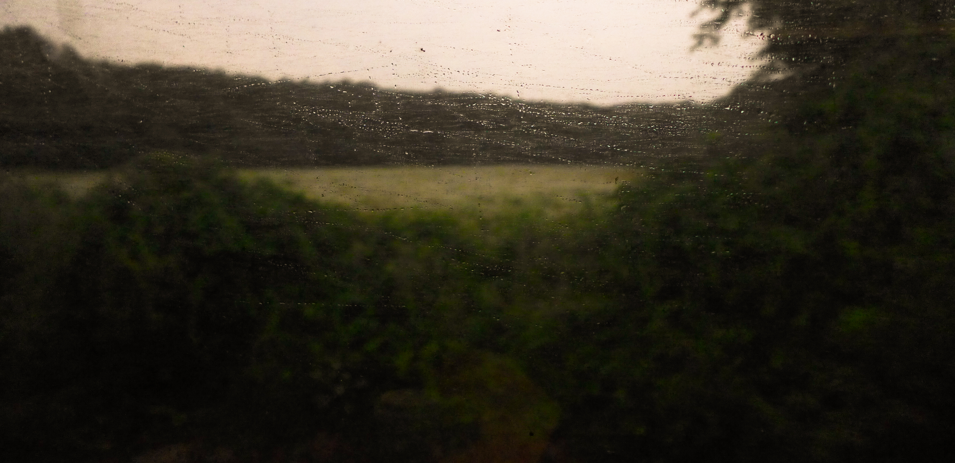 train in rain.jpg